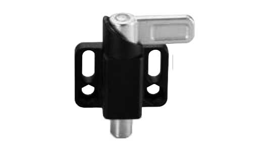 ＰＭＶ－Ｌ－ＢＫ