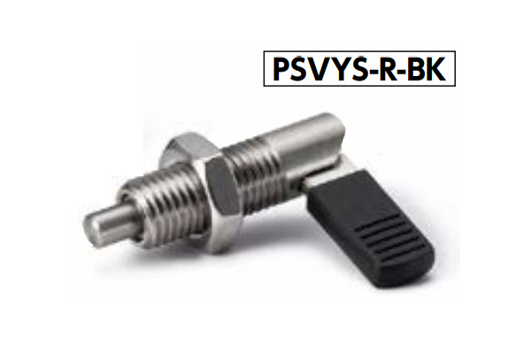 ＰＳＶＹＳ－Ｒ－ＢＫ