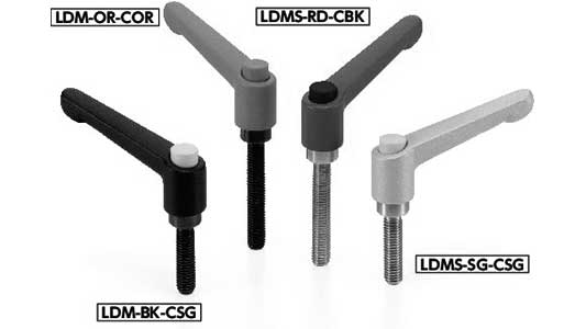 ＬＤＭＳ－＊Ｂ－ＲＤ－ＣＳＧ