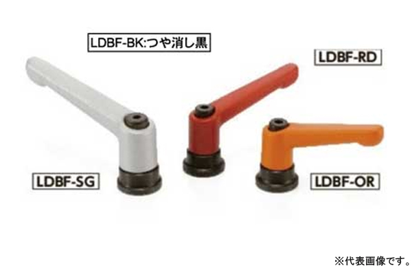 ＬＤＢＦ－ＲＤ
