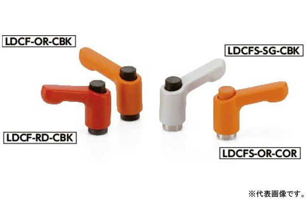 ＬＤＣＦ－ＯＲ－ＣＳＧ