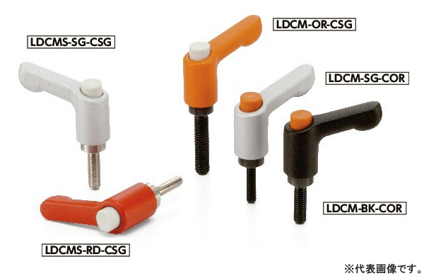 ＬＤＣＭＳ－ＳＧ－ＣＯＲ