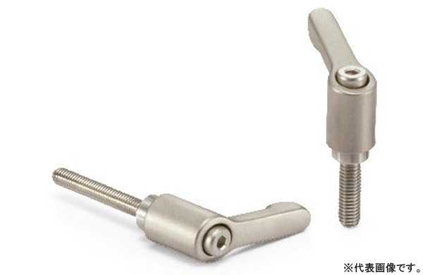 ＬＤＣＭＳ－ＮＩ