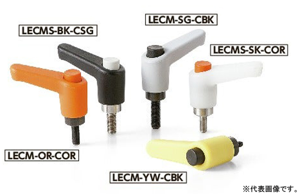 ＬＥＣＭ－ＳＧ－ＣＢＫ
