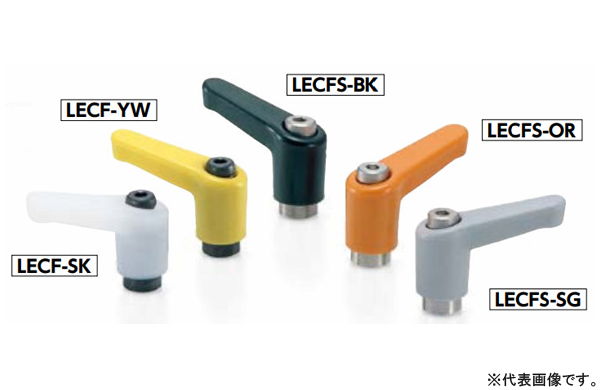 ＬＥＣＦ－ＳＧ