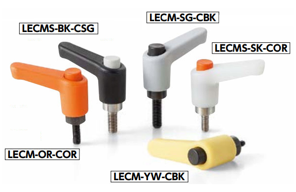 ＬＥＣＭＳ－ＳＫ－ＣＳＧ