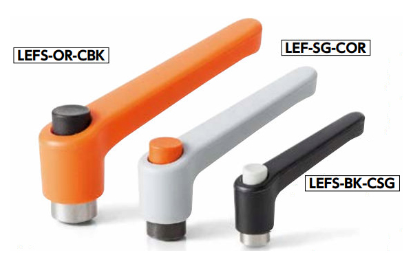 ＬＥＦＳ－ＳＧ－ＣＳＳＧ