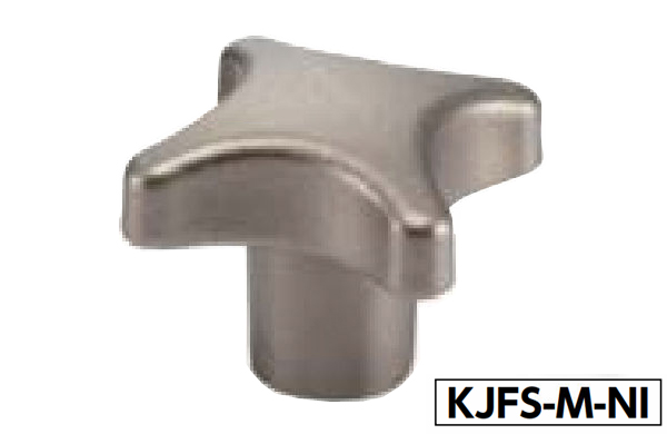 ＫＪＦＳ－Ｍ－ＮＩ