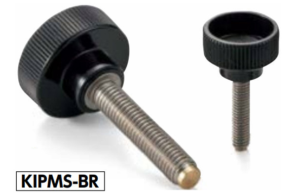 ＫＩＰＭＳ－ＢＲ